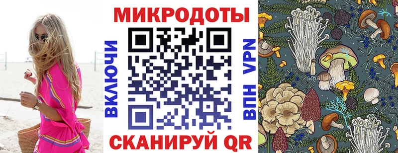 Купить  Никольское  Псилоцибиновые грибы Psilocybine cubensis 